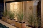 Riad Anata - Image 4