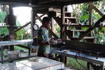 Bolita Hostel