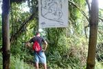 Bolita Hostel - Image 6
