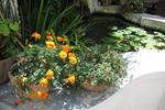 Ave Gratia Plena - Image 9