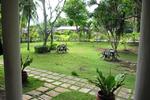 Nidos garden - Image 6