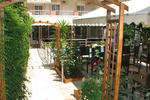 Mallas -Nea Kalikratia - Image 2