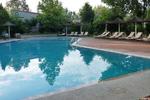 Petrino Suites - Image 5