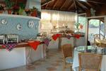 Porfi Beach-Nikiti - Image 7