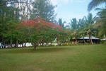 Otuhaka Beach Resort - Image 9