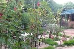 Hotel Chellal d'Ouzoud - Image 3