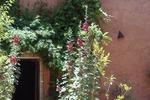 Hotel Chellal d'Ouzoud - Image 5