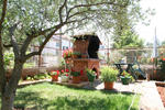 Mira Guesthouse - Image 4