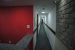 Hercus Lapa - Image 2