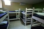 Hercus Lapa - Image 3