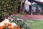 Cabana Las Lilas - Image 4
