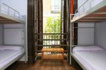 Cat's Hostel - Image 3