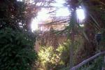 Pineta Sul Mare - Image 3