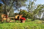 B&B Casa del Merlo Canterino