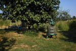 Green Fields Guesthouse - Image 5
