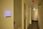 Pandas Hostel - Stylish - Image 4