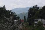 Majestic Tourist Hotel - Image 6