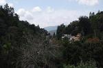 Majestic Tourist Hotel - Image 7