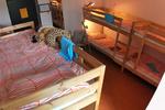 Safari Hostel - Image 6