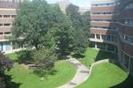University of Toronto New College Residences - Image 5