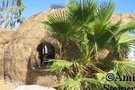 Desert Ashram