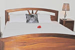 Soriania Hotel - Image 3