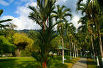 Villas Riomar - Image 3