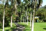 Villas Riomar - Image 9