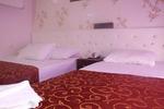 Hotel Eve House