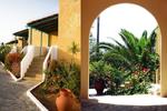 Hotel Zorbas Beach Village - Image 9