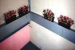 Almaty Hostel - Image 2