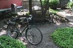 The Indy Hostel - Image 5
