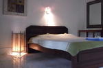 Bamboo Paradise - Image 2
