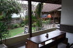 Bamboo Paradise - Image 4