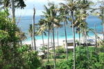 Bamboo Paradise - Image 5