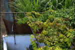 Madeira Surf Camp - Image 6