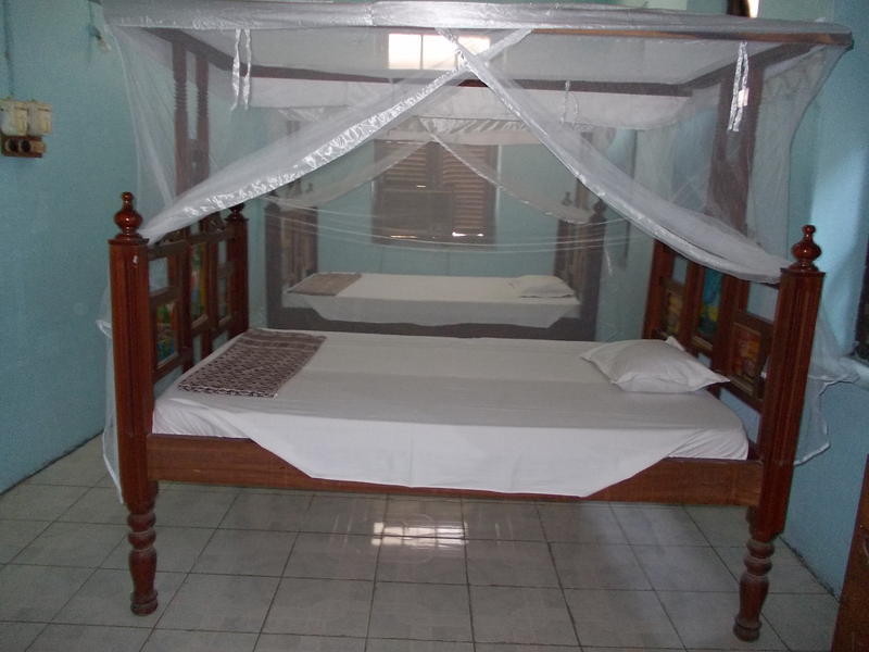 Zanzibar Dorm Lodge (222 Hurumzi)  0