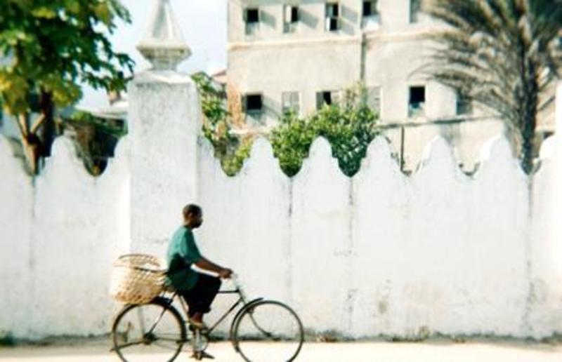 Zanzibar Dorm Lodge (222 Hurumzi)  3