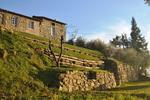 B&B-Farm Forestaria - Image 5