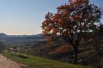 B&B-Farm Forestaria - Image 10