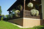 House Petra - Image 3