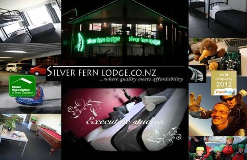 Silver Fern Lodge  1