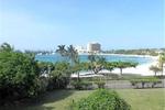 Paradise Turtle Towers