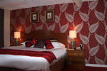 Clachan Cottage Hotel - Image 4