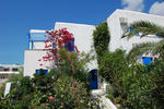 Mare Monte - Image 2