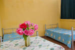 Timi's Apartment - Image 8