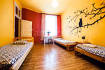 Hostel Tara - Krakow, Poland