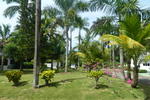 Gardenia Resort