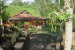 Yambolombia Hostel - Image 9