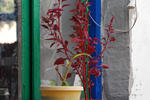 Kale's Homestay - Image 4
